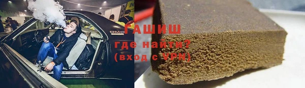 индика Нягань