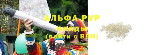 индика Нягань