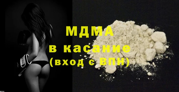 индика Нягань