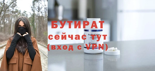 индика Нягань