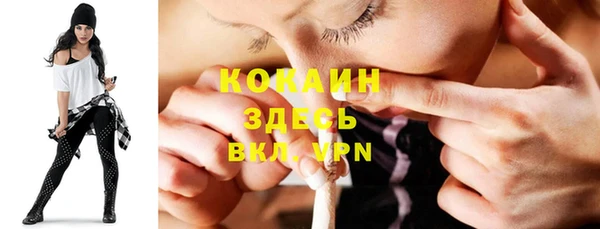 стафф Няндома