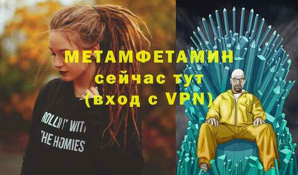 индика Нягань