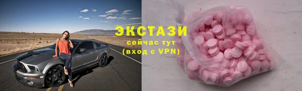 индика Нягань