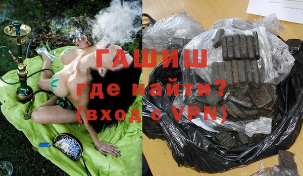 индика Нягань