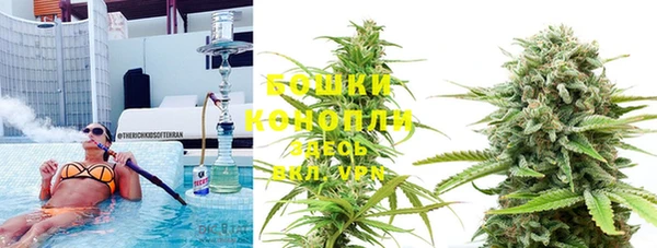 стафф Няндома
