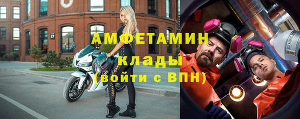 индика Нягань