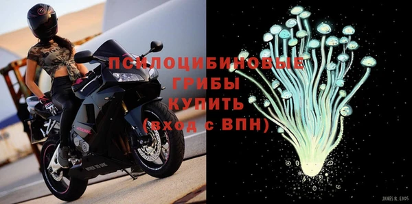стафф Няндома