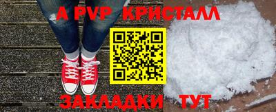 спайс Кингисепп