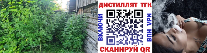 блэк спрут как войти Кострома Дистиллят ТГК THC oil