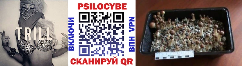 ОМГ ОМГ ссылка  Кострома  Галлюциногенные грибы GOLDEN TEACHER 