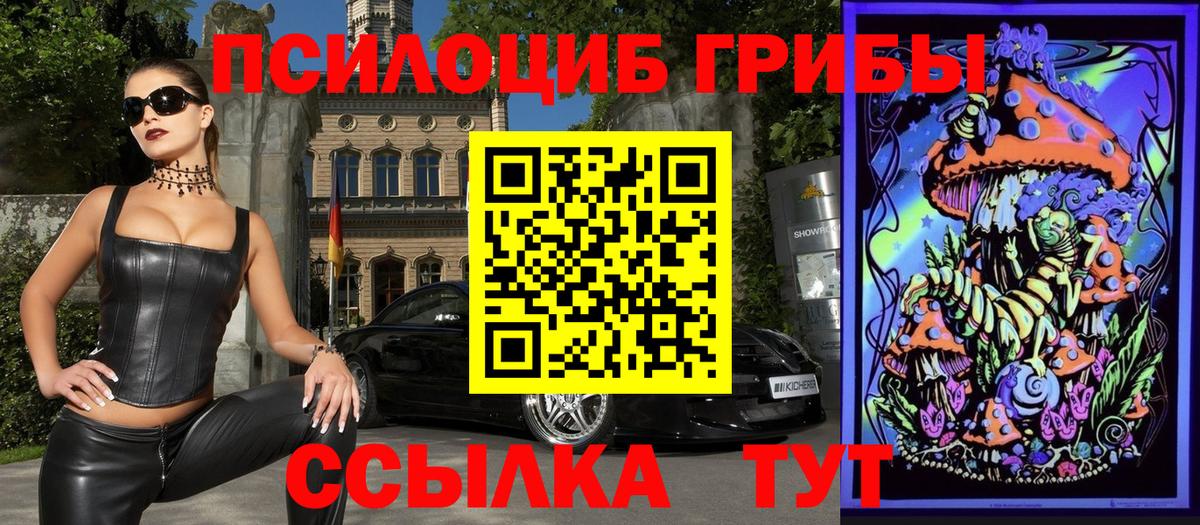 Галлюциногенные грибы Psilocybine cubensis Кострома