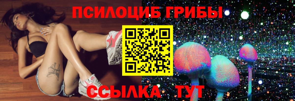 Кострома  Галлюциногенные грибы ЛСД  Вход с VPN 